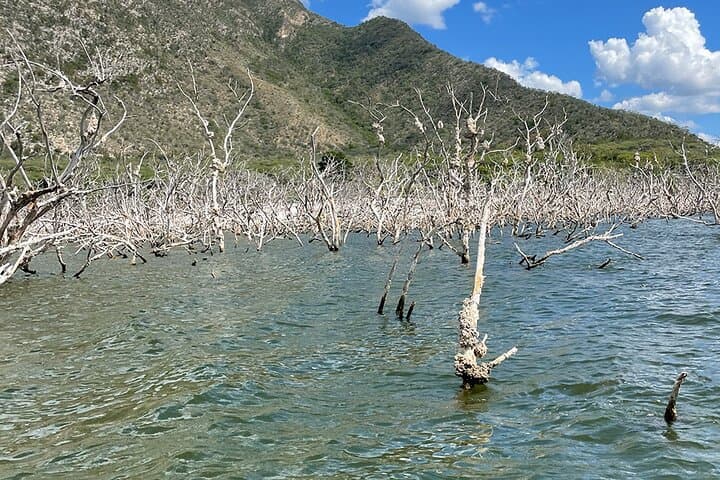 Crocodile Watching at Lago Enriquillo: Full-Day All-Inclusive Wildlife Safari photo 3