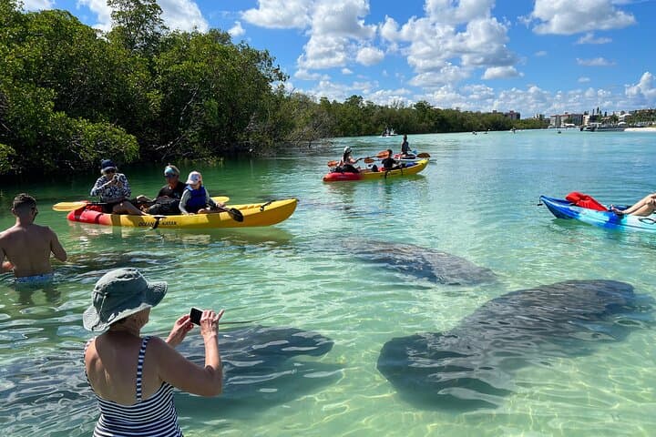 Big Hickory Island Self-Guided Kayak & SUP Rentals (CLEAR Kayaks) — Bonita Springs