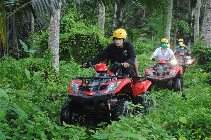 Full-Day Ubud ATV Ride and Private Ubud Tour — Tegalalang to Monkey Forest photo 4