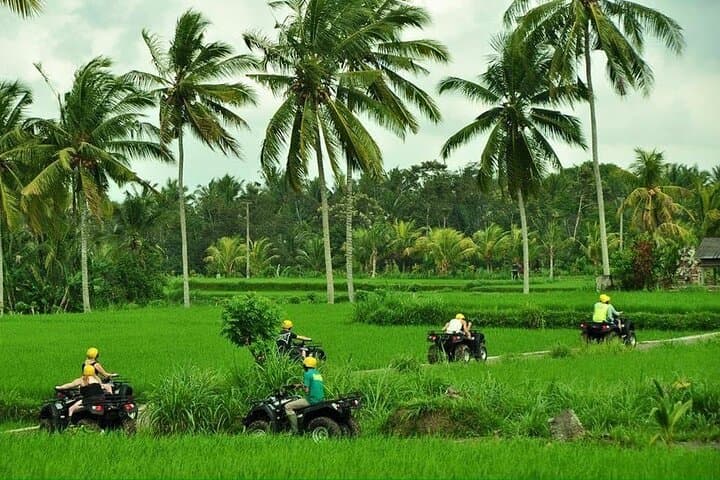 Ubud ATV Adventure & Infinity Pool Bar: Private Quad Through Rice Fields and Jungle photo 2