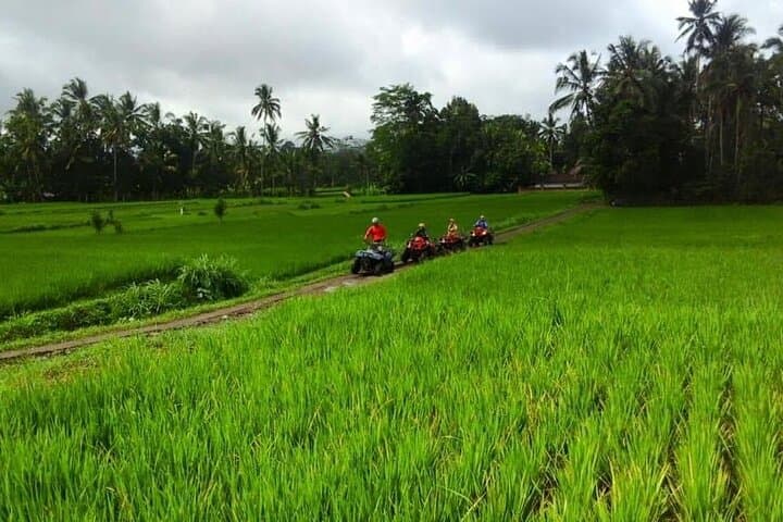 Ubud ATV Adventure: 2-Hour Private Quad Ride Through Rice Fields, Jungle & Waterfalls photo 5