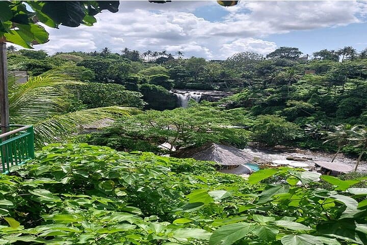 Full-Day Ubud Tour — Rice Terraces, Temples & Monkey Forest