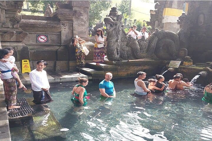 Full-Day Ubud Tour — Rice Terraces, Temples & Monkey Forest photo 3