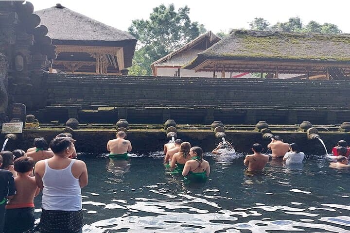 Full-Day Ubud Tour — Rice Terraces, Temples & Monkey Forest photo 4
