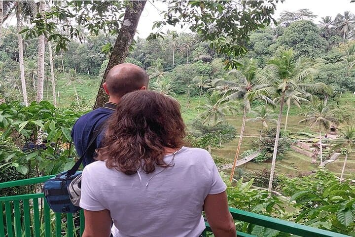 Full-Day Ubud Tour — Rice Terraces, Temples & Monkey Forest photo 6
