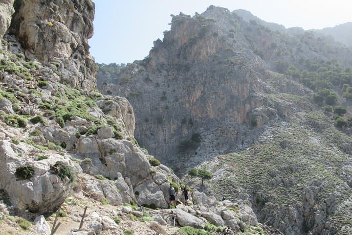 Rouvas Gorge Trek from Lake Zaros: A Private Day Hike Through Crete’s Holly Forest photo 4