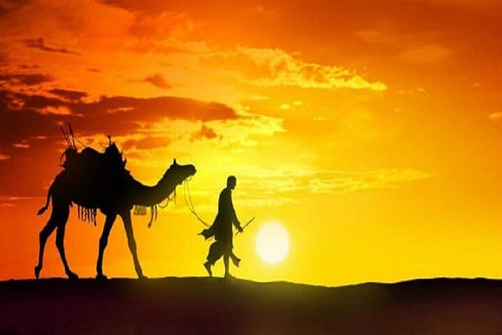 Dubai Desert Safari: Dune Bashing, Camel Ride & BBQ Dinner Experience photo 3