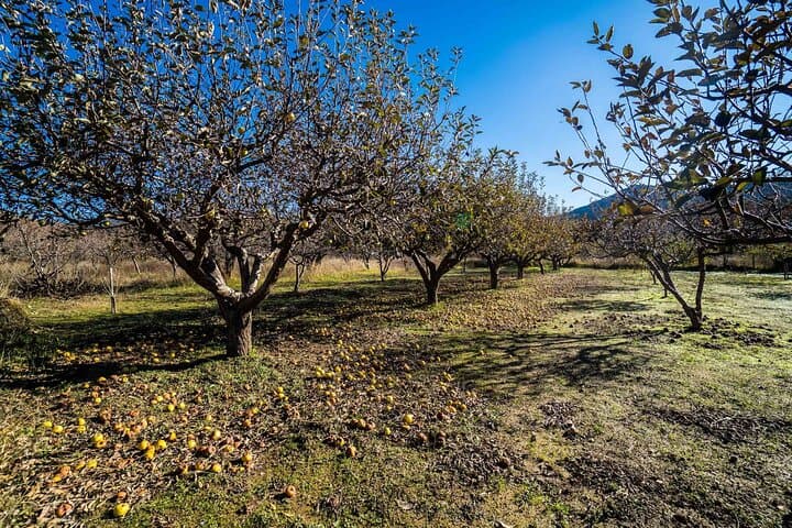 Psiloritis Mountain Day Trip: Ideon Cave, Anogia & Hands-On Cretan Cooking photo 4