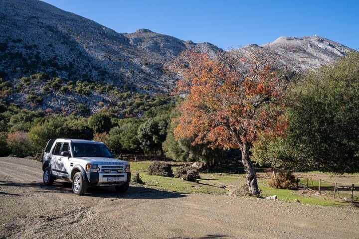 Psiloritis Mountain Day Trip: Ideon Cave, Anogia & Hands-On Cretan Cooking