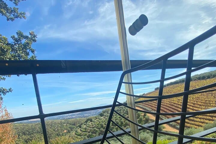 Wineland Without Wine: Stellenbosch Food, Cheese & Chocolate Tour photo 2