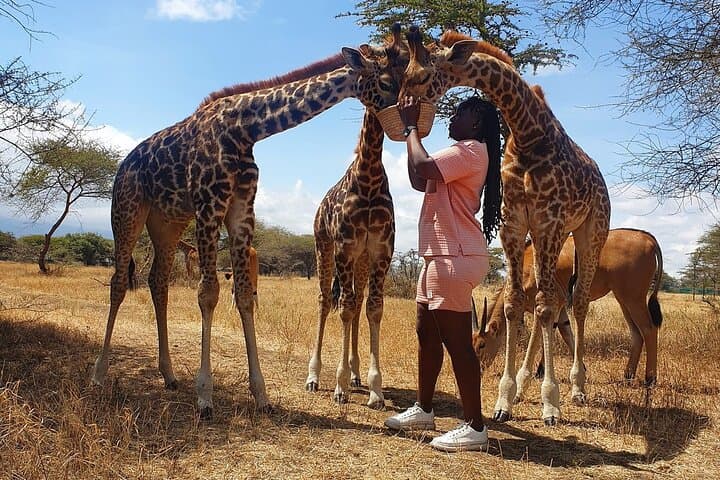 Private Day Tour: Serval Wildlife Encounters & Kikuletwa (Chemka) Hot Springs from Arusha photo 3