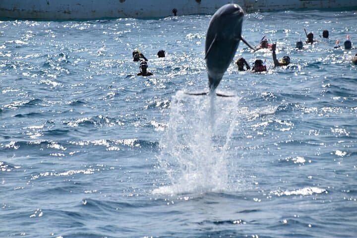 Hurghada Dolphin House Snorkeling & Red Sea Boat Trip photo 5