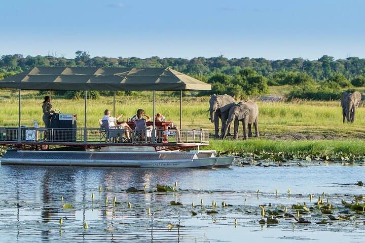 Private Full-Day Chobe Safari: Game Drive & River Cruise from Livingstone