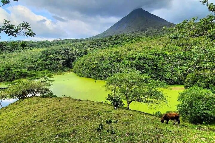 Half-Day Arenal Combo: Waterfall Hike plus Hanging Bridges, Volcano, Safari or Chocolate Tour photo 2