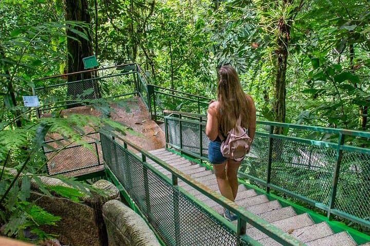 Half-Day Arenal Combo: Waterfall Hike plus Hanging Bridges, Volcano, Safari or Chocolate Tour photo 3