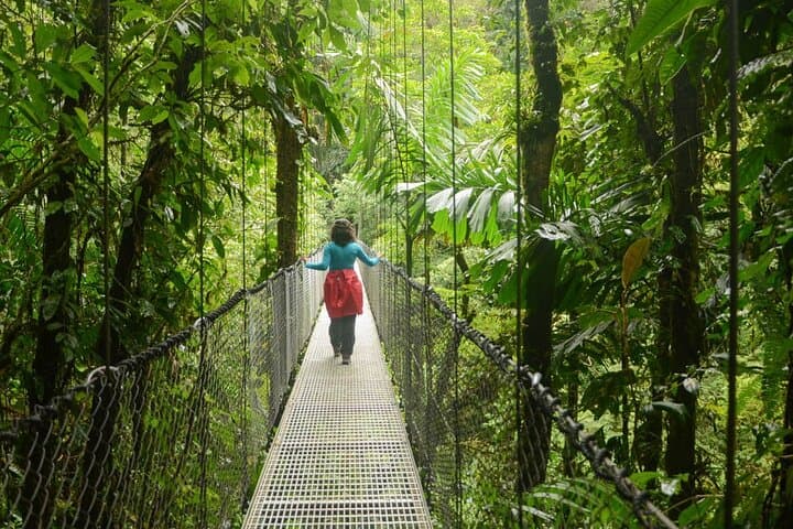 Half-Day Arenal Combo: Waterfall Hike plus Hanging Bridges, Volcano, Safari or Chocolate Tour photo 5