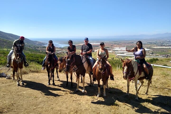 Desert Peaks on Horseback: Ensenada Mountain Trail Ride with Ocean Views