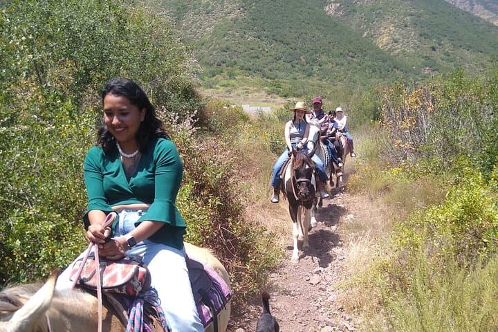 Desert Peaks on Horseback: Ensenada Mountain Trail Ride with Ocean Views photo 6