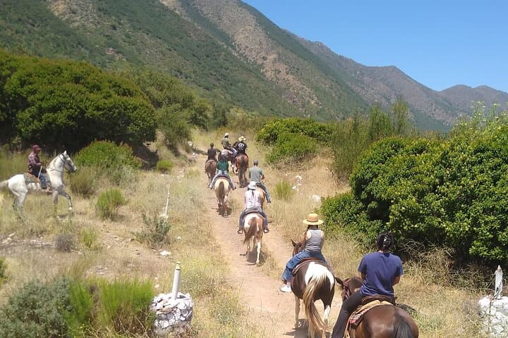 Desert Peaks on Horseback: Ensenada Mountain Trail Ride with Ocean Views photo 2