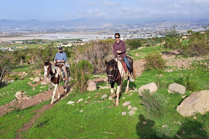 Desert Peaks on Horseback: Ensenada Mountain Trail Ride with Ocean Views photo 4