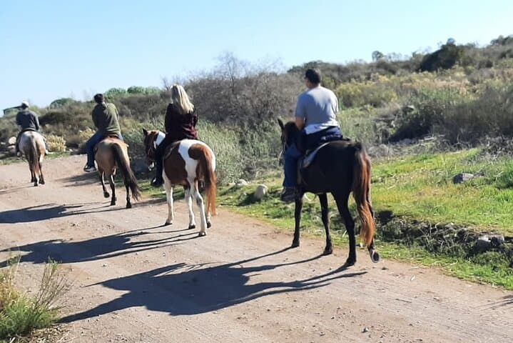 Desert Peaks on Horseback: Ensenada Mountain Trail Ride with Ocean Views photo 5