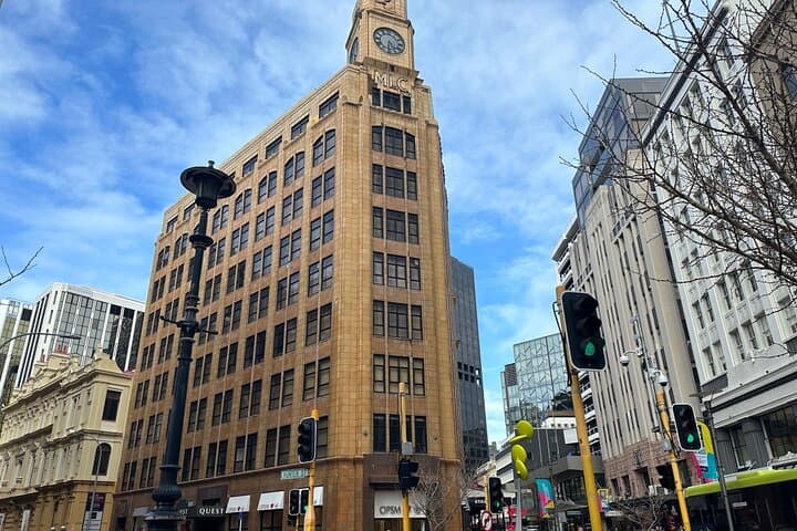 Private Wellington Highlights Tour: Mt Victoria, Te Papa & Weta Cave photo 3