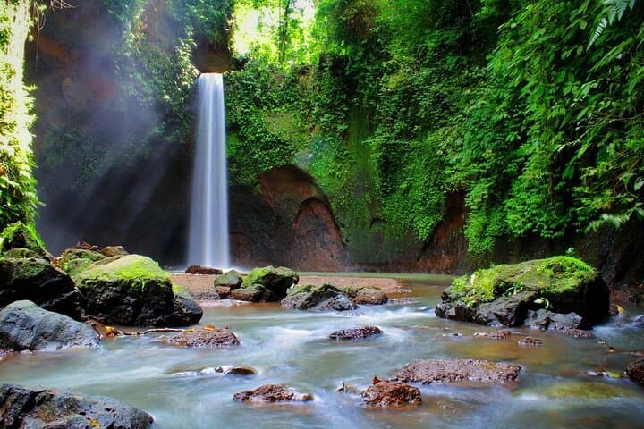 Ubud Private Tour: Tibumana Waterfall, Tegalalang Rice Terraces & Jungle Swing photo 2