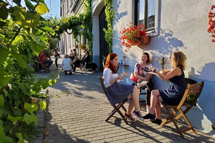 Bratislava Wine Tasting with a Local Sommelier in the Small Carpathians photo 2