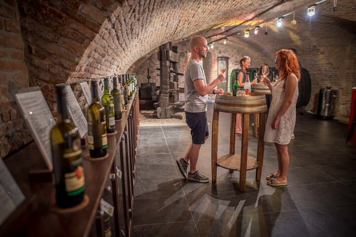Bratislava Wine Tasting with a Local Sommelier in the Small Carpathians photo 4