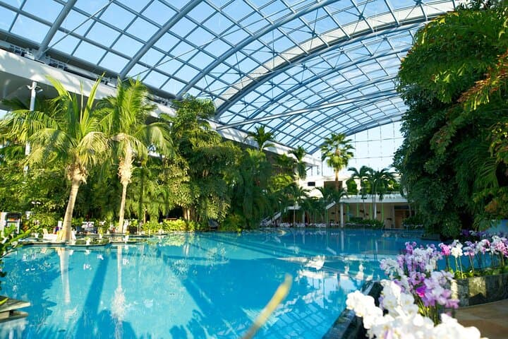 Therme Bucuresti Skip-the-Line Ticket with Transfer from Bucharest