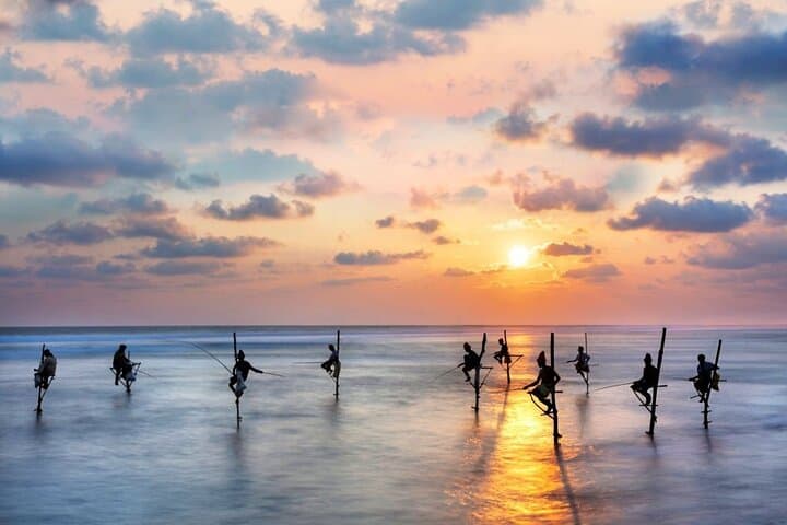 8-Day Private Sri Lanka Tour: Colombo, Cultural Sites & Elephant Safaris photo 6