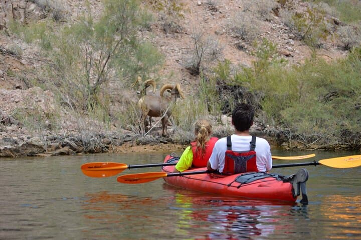 Emerald Cave Kayak Tour: Black Canyon Deluxe with Catered Lunch photo 3