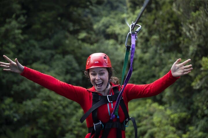 Auckland to Rotorua Canopy Zipline: Full-Day Private Forest Canopy Adventure photo 6