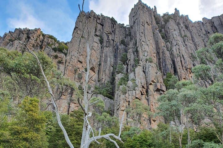 Morning Walk on Mt Wellington (Kunanyi) from Hobart — Summit Views & Alpine Flora photo 3