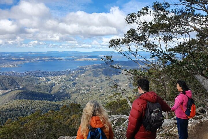 Morning Walk on Mt Wellington (Kunanyi) from Hobart — Summit Views & Alpine Flora photo 4