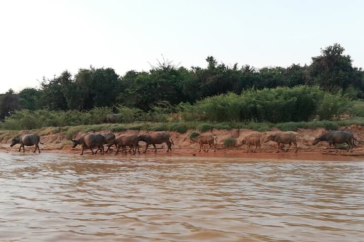 Kampong Phluk & Tonle Sap Village Tour from Siem Reap: Stilt Houses, Boat Rides, Local Life photo 5