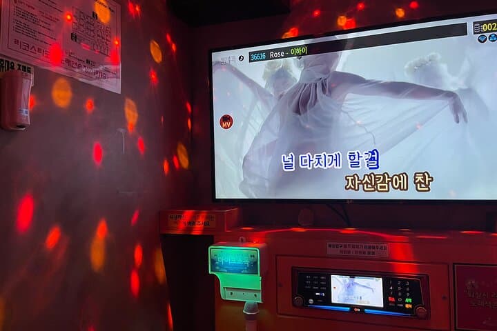 Seoul Han River Sunset Chicken & Karaoke Private Tour photo 2