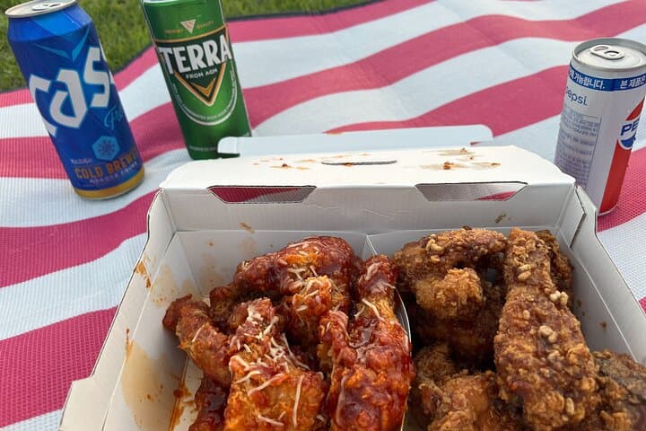 Seoul Han River Sunset Chicken & Karaoke Private Tour photo 4