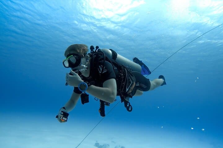 Scuba Diving in Jumeirah: Guided Gulf Dives from Dubai photo 2