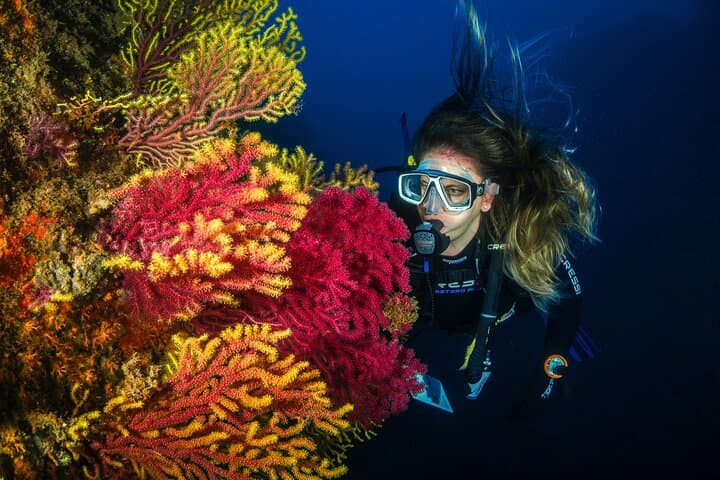 Scuba Diving in Jumeirah: Guided Gulf Dives from Dubai