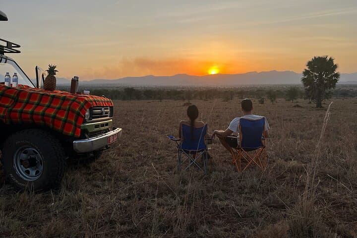 Big-7 Uganda Safari: 10-Day Private Gorilla, Chimpanzee & Wildlife Experience photo 3