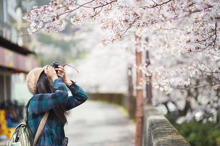 Kyoto Unveiled: Private Walking Tour of Gion, Yasaka & Kiyomizu photo 3