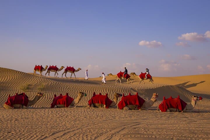 Overnight Camel Caravan in Dubai's Red Dunes: Bedouin Camp, BBQ & Sunrise Trek photo 4
