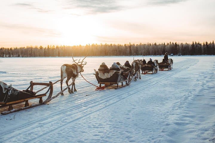 Apukka Reindeer Journey: Reindeer Sleigh Ride & Lappish Hut Experience in Rovaniemi photo 1