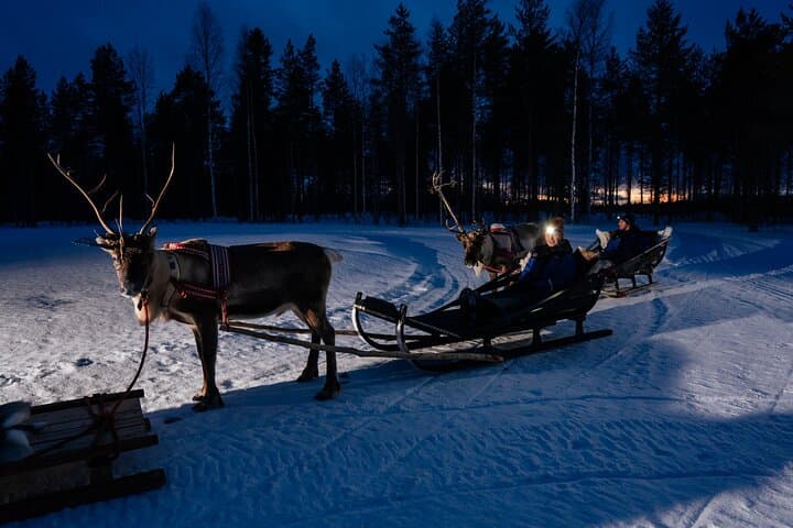 Reindeer Sleigh Ride Under the Northern Lights at Apukka Resort, Rovaniemi photo 4