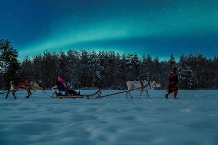 Reindeer Sleigh Ride Under the Northern Lights at Apukka Resort, Rovaniemi photo 1