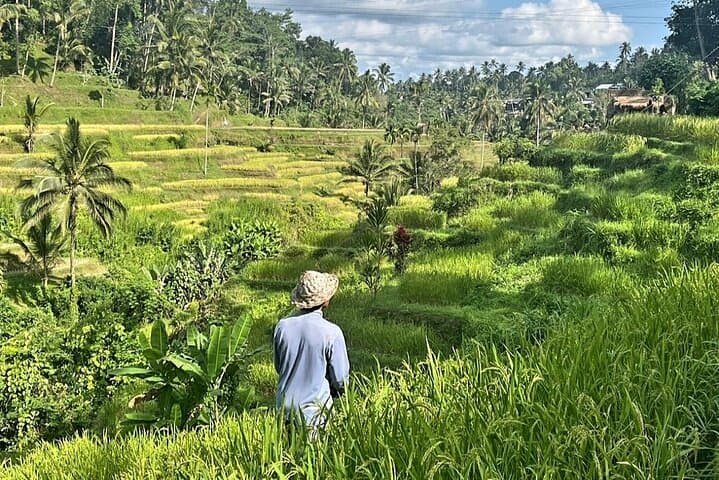 Private Ubud Driver Full-Day Custom Tours: Waterfalls, Temples & Rice Terraces photo 2