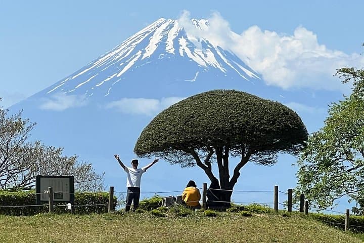 Hike Hakone Hachiri: Historic Tokaido Trail from Hakone Yumoto to Mishima