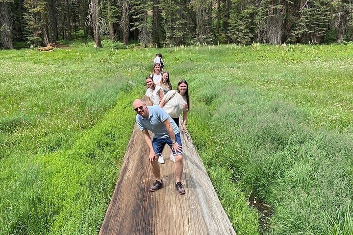 Sequoia Treasures: Full-Day Small-Group Tour from Three Rivers to General Sherman photo 3