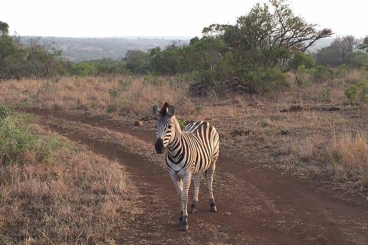 Full-Day Aquila Big-Five Safari from Cape Town: Private Guided Game Drive photo 2